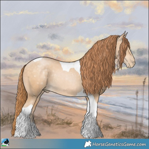 Horse Color:Buckskin Pearl Tobiano Rabicano 