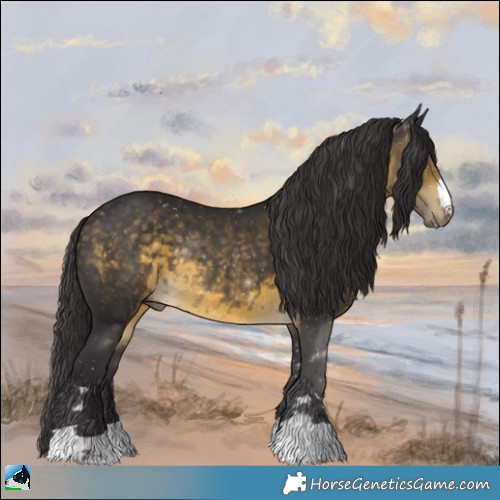 Horse Color:Buckskin Mushroom Rabicano 
