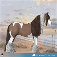 Horse Color:Liver Red Dun Sabino Tobiano