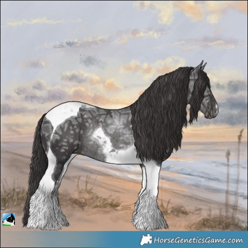 Horse Color:Smoky Black Ice Mushroom Tobiano Rabicano 