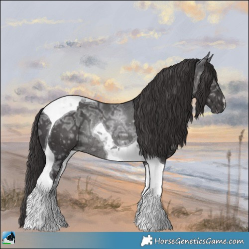 Horse Color:Smoky Black Ice Mushroom Tobiano Rabicano 