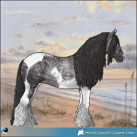 Horse Color:Smoky Black Ice Mushroom Tobiano Rabicano