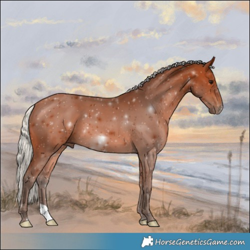 Horse Color:Silver Bay 