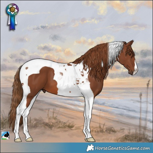 Horse Color:Chestnut Tobiano 