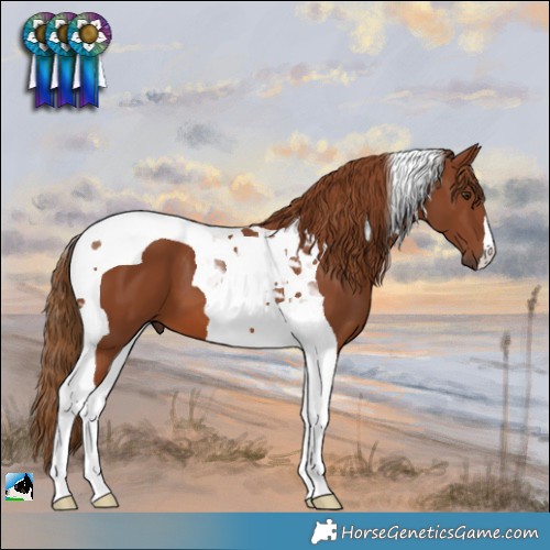 Horse Color:Chestnut Tobiano 