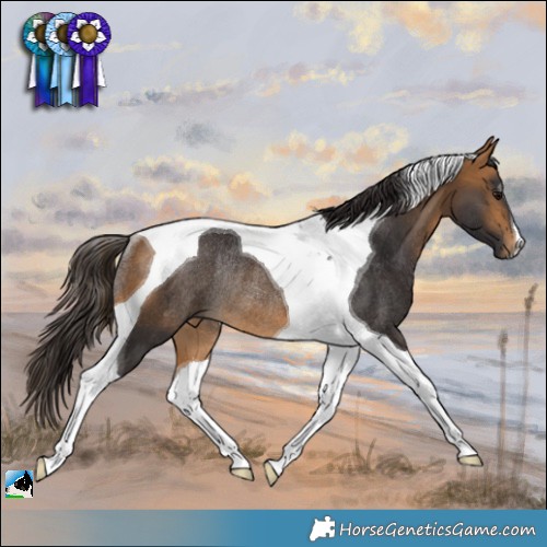 Horse Color:Buckskin Tobiano Rabicano 