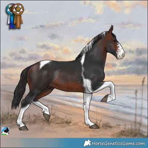 Horse Color:Brown Sabino Tobiano Rabicano 