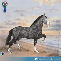Horse Color:Smoky Black Ice Rabicano