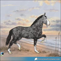 Horse Color:Smoky Black Ice Rabicano 