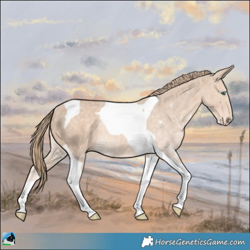 Horse Color:Perlino Mushroom Tobiano Rabicano 