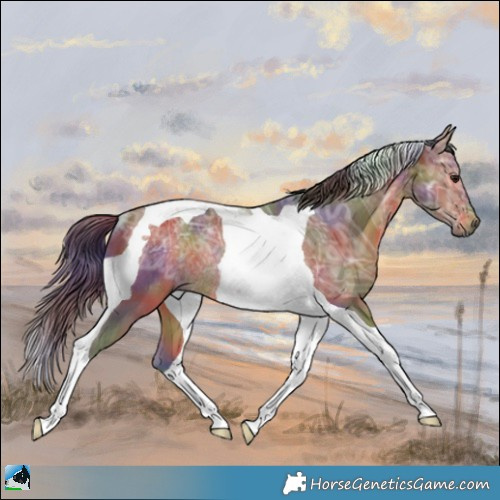 Horse Color:Nacre Bay Ice Tobiano Rabicano 