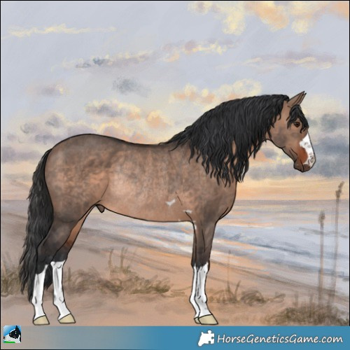 Horse Color:Brown Dun Mushroom Rabicano 