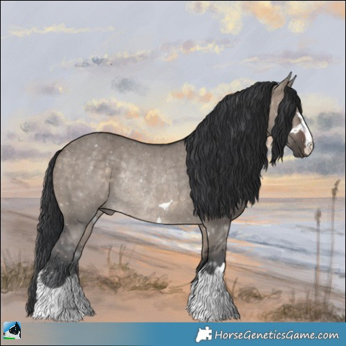 Horse Color:Brown Dun Mushroom Rabicano 