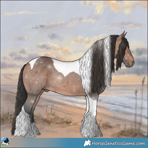 Horse Color:Bay Mushroom Tobiano Rabicano 