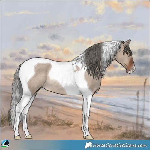 Horse Color:Liver Red Dun Mushroom Tobiano Rabicano 