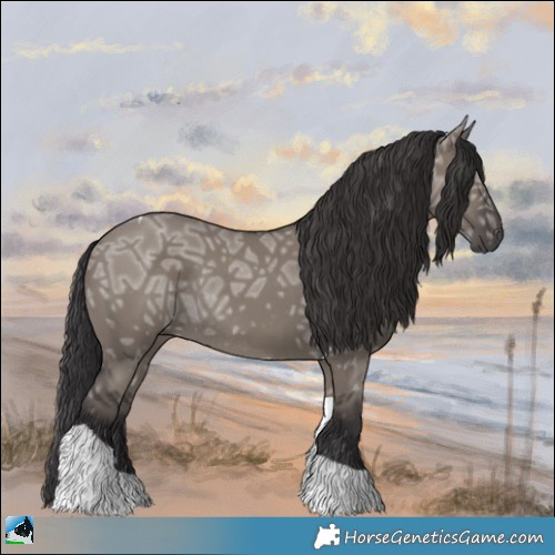 Horse Color:Smoky Grullo Ice Tobiano Rabicano 