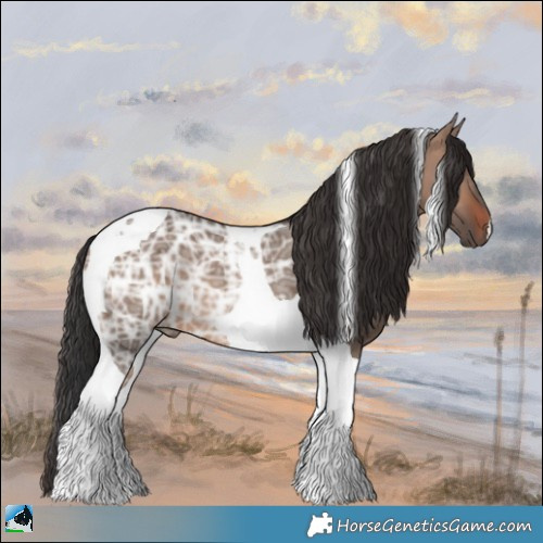 Horse Color:Brown Ice Dun Mushroom Tobiano 