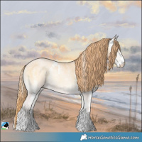 Horse Color:Buckskin Ice Pearl Onyx Mushroom Sabino Rabicano