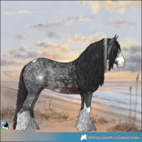 Horse Color:Brown Ice Sabino Tobiano Rabicano 