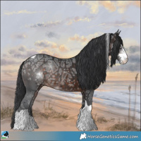 Horse Color:Brown Ice Sabino Tobiano Rabicano 
