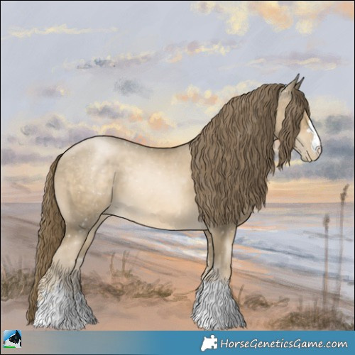 Horse Color:Smoky Black Pearl 
