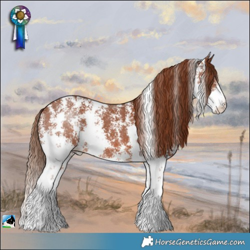 Horse Color:Chestnut Sabino 