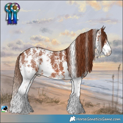 Horse Color:Chestnut Sabino 