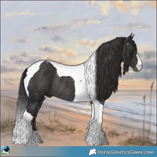 Horse Color:Smoky Black Tobiano Rabicano 