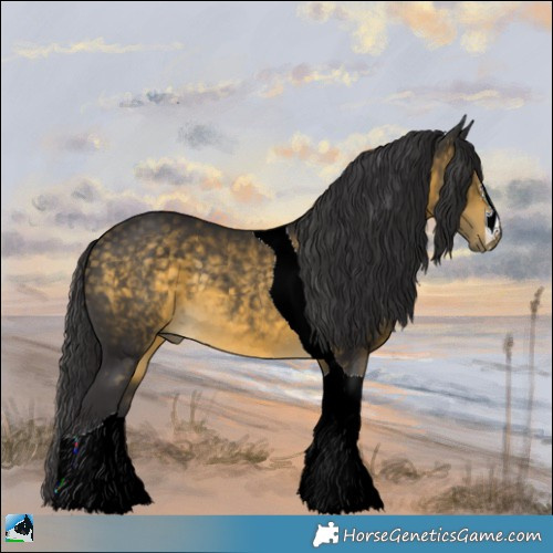 Horse Color:Buckskin Mushroom Tobiano Rabicano 