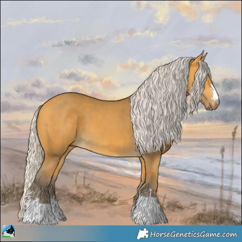 Horse Color:Silver Buckskin 