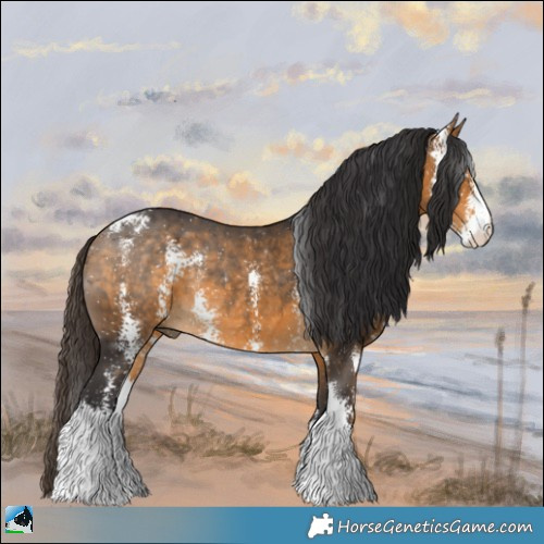 Horse Color:Buckskin Sabino Rabicano 