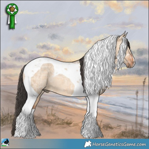 Horse Color:Bay Ice Dun Tobiano Rabicano 