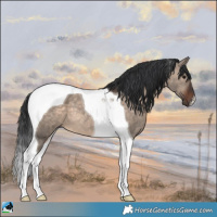 Horse Color:Brown Dun Mushroom Tobiano