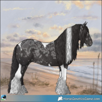 Horse Color:Smoky Black Ice Tobiano Rabicano