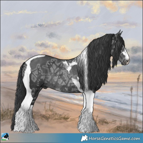 Horse Color:Black Ice Tobiano Rabicano 