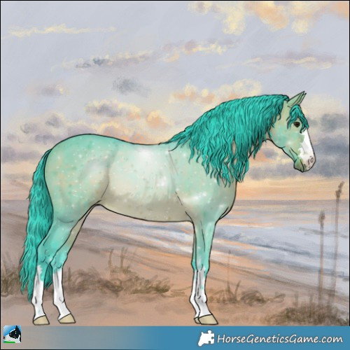 Horse Color:Watercolor Brown Dun