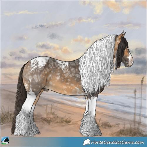 Horse Color:Buckskin Ice Tobiano 