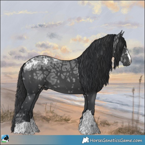 Horse Color:Black Ice Rabicano 