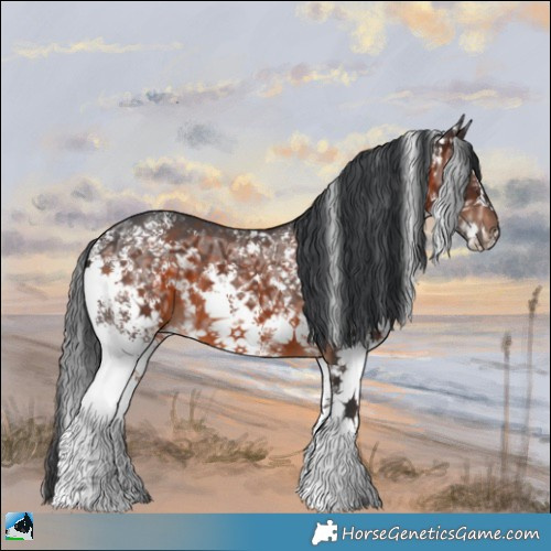 Horse Color:Brown Ice Mushroom Sabino Rabicano 