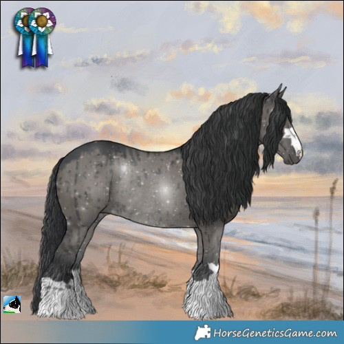 Horse Color:Grullo Rabicano Brindle