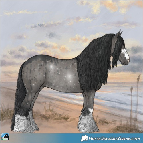 Horse Color:Grullo Rabicano Brindle