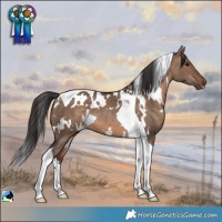 Horse Color:White Spotted Brown Dun Tobiano 