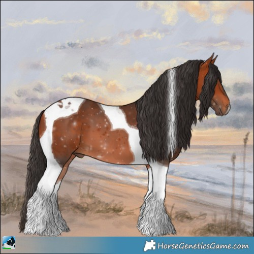 Horse Color:Bay Tobiano 