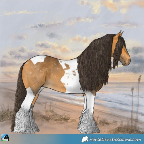 Horse Color:Buckskin Tobiano 