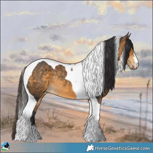 Horse Color:Buckskin Tobiano Rabicano 