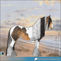 Horse Color:Buckskin Tobiano Rabicano 