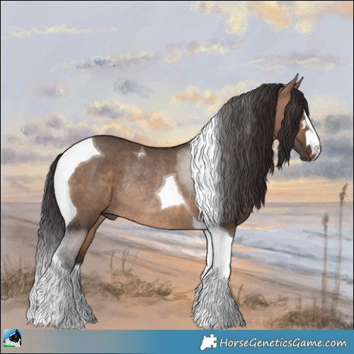Horse Color:Brown Dun Tobiano Rabicano 