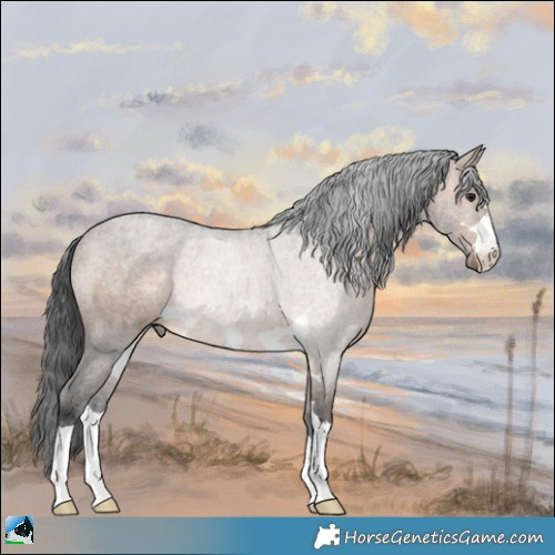 Horse Color:Brown Dun Mushroom Rabicano 