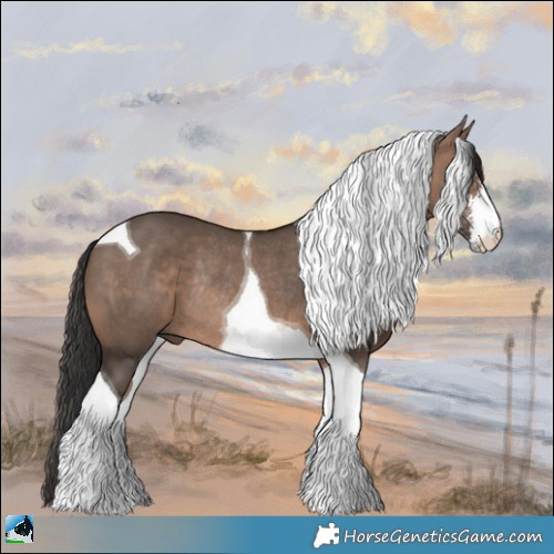 Horse Color:Brown Dun Mushroom Sabino Tobiano Rabicano 