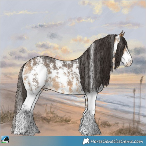 Horse Color:Buckskin Sabino 